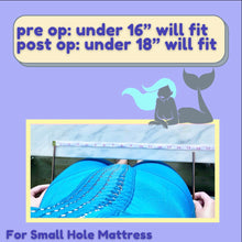Load image into Gallery viewer, BBL Air Mattress Bundle
